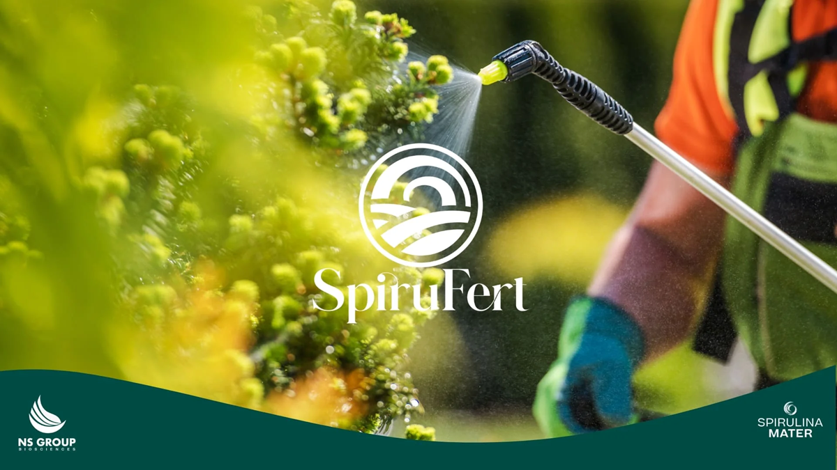 Spirufert, el poder de la spirulina al servicio de la agricultura moderna|portada spirufert|spirulina|collage cultivos